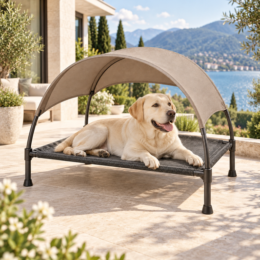 PawShade – Lit surélevé avec pare-soleil pour chien