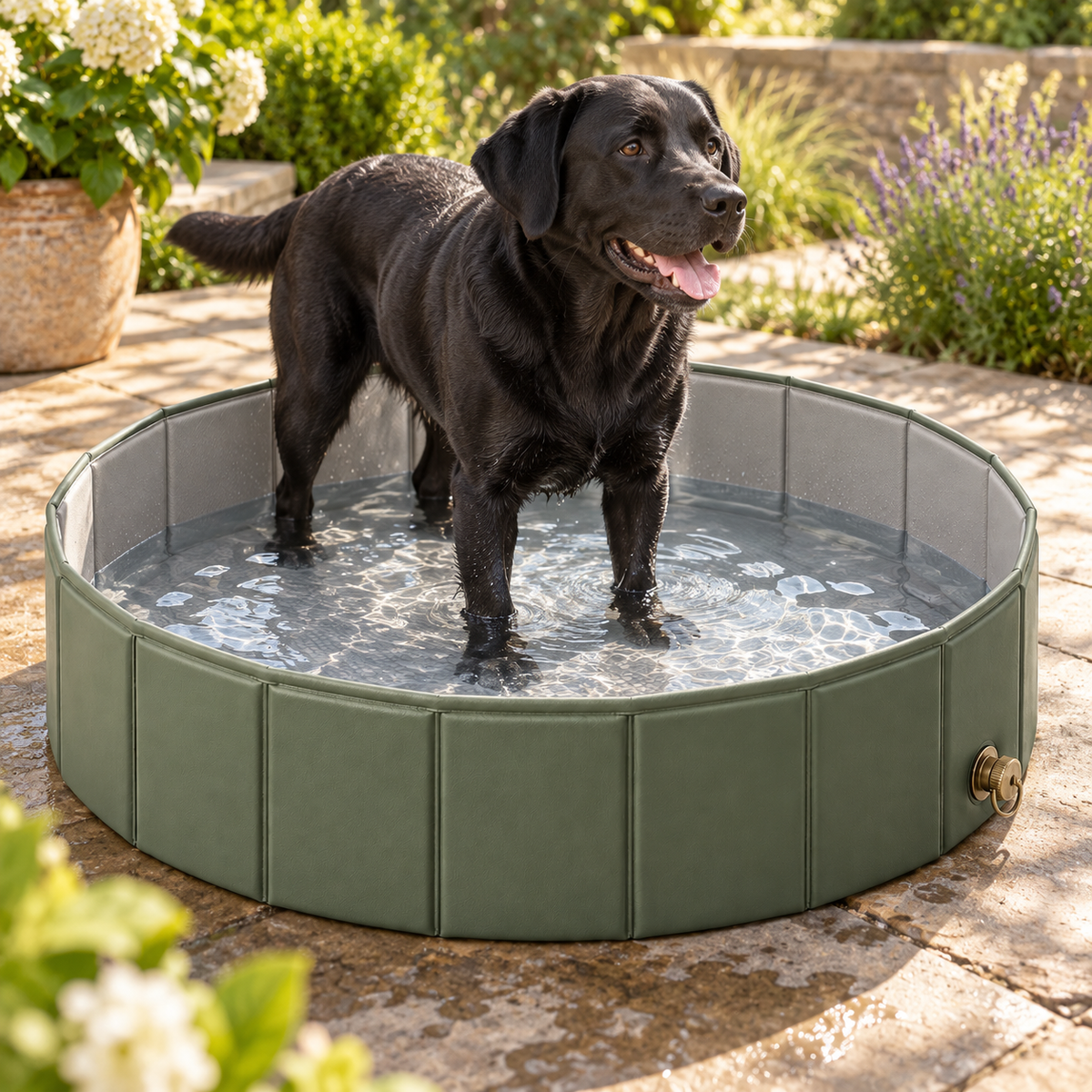 PawPool – Piscine pliable XXL pour chien