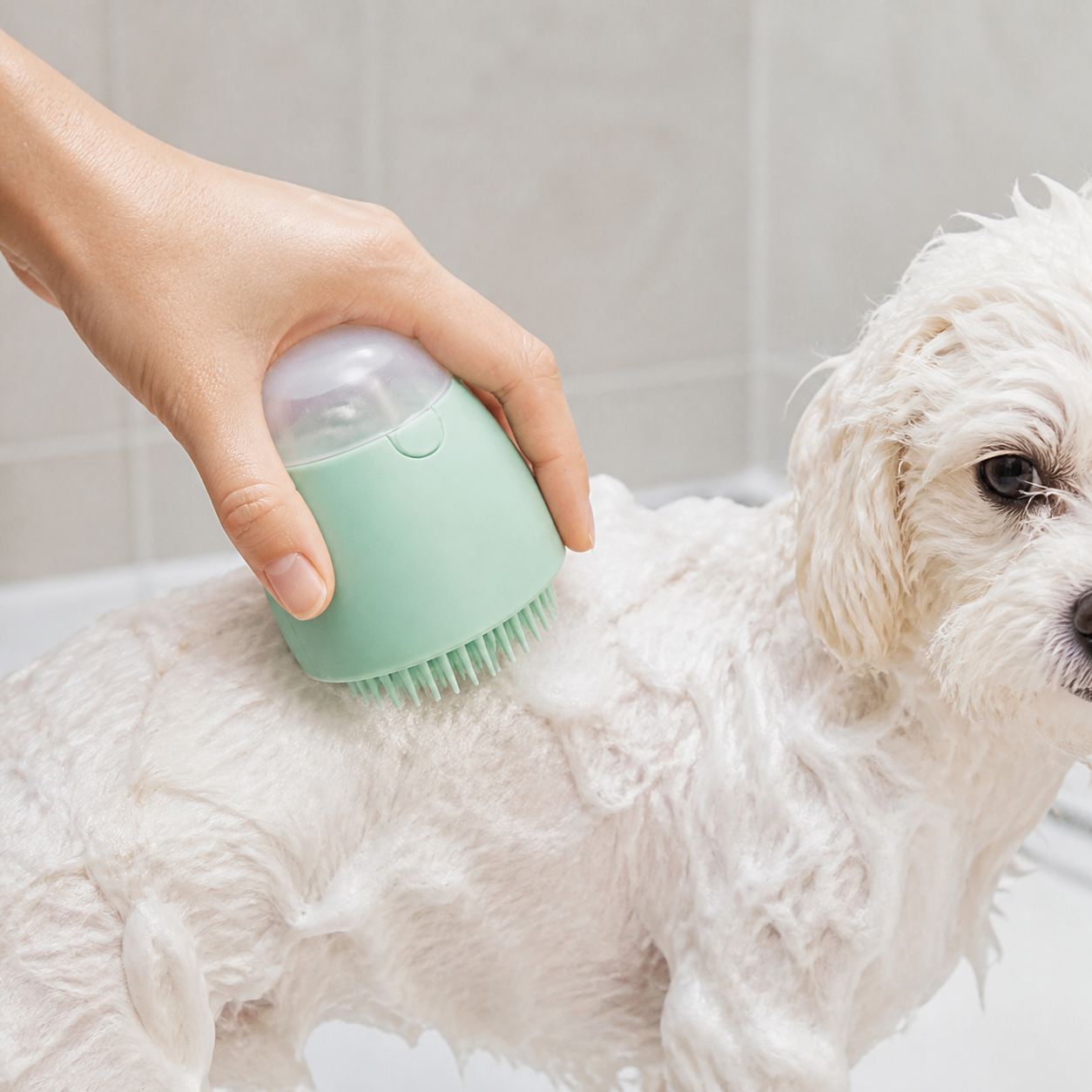 PawSpa – Brosse de bain avec réservoir pour chiens et chats