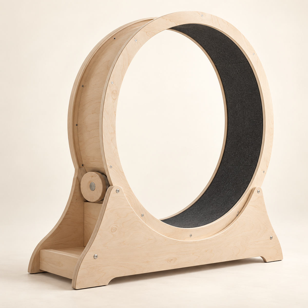 PawWheel – Roue d’exercice silencieuse pour chat